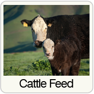 cattle-feed.png
